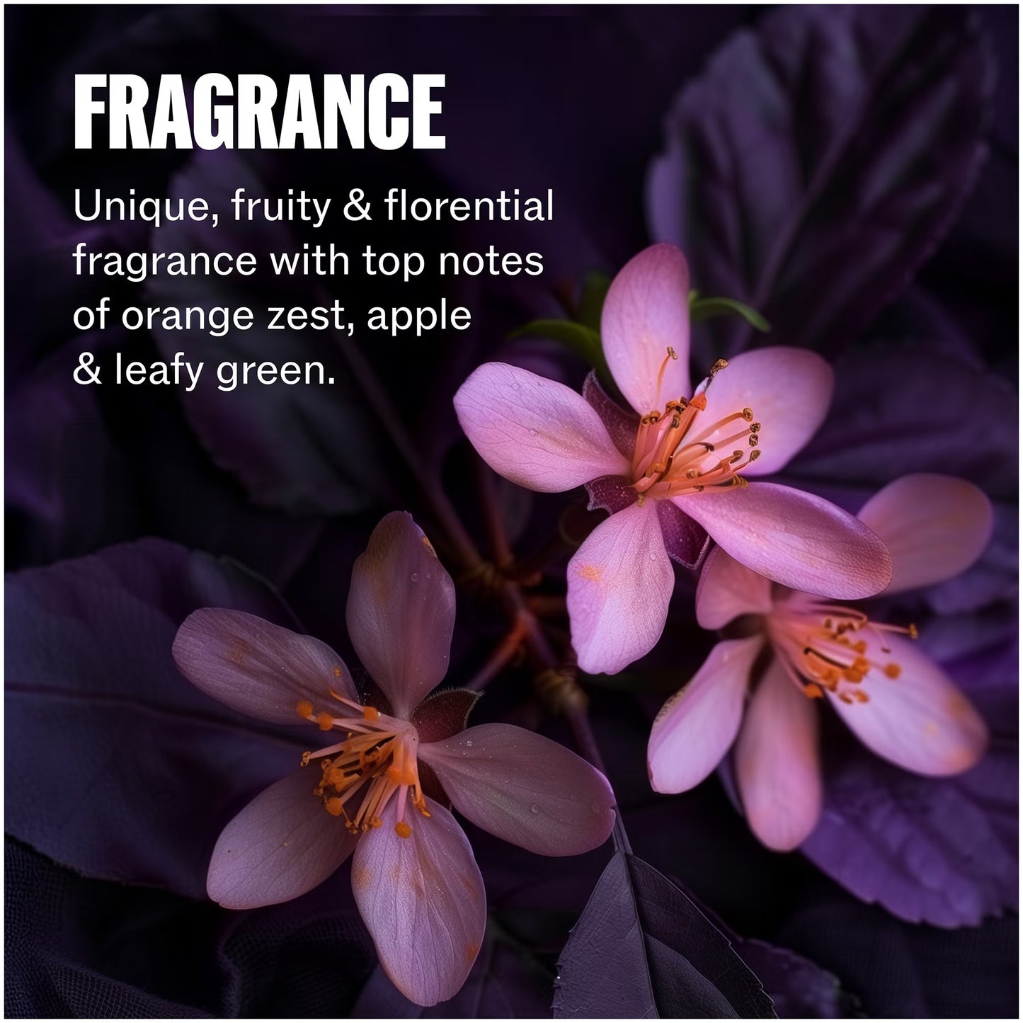 Wella Professionals Care Ultimate Color Shampoo & Conditioner Bundle